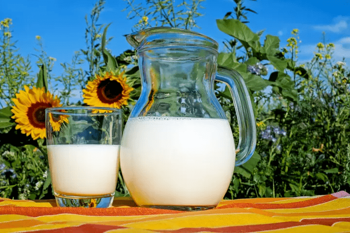 Milch ist ein Grundnahrungsmittel der Dukan-Diät